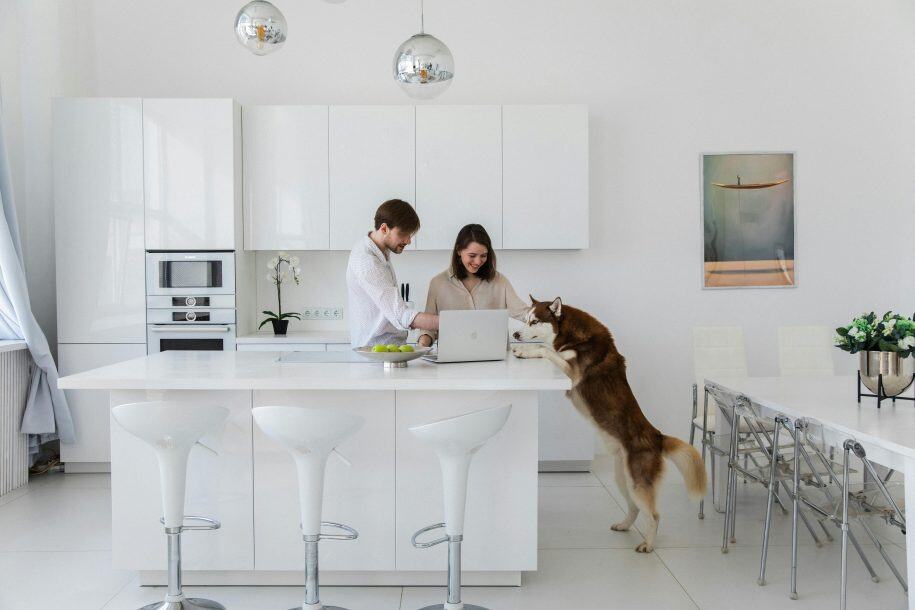 Clean, modern kitchen with people working on a laptop and a friendly dog interaction.